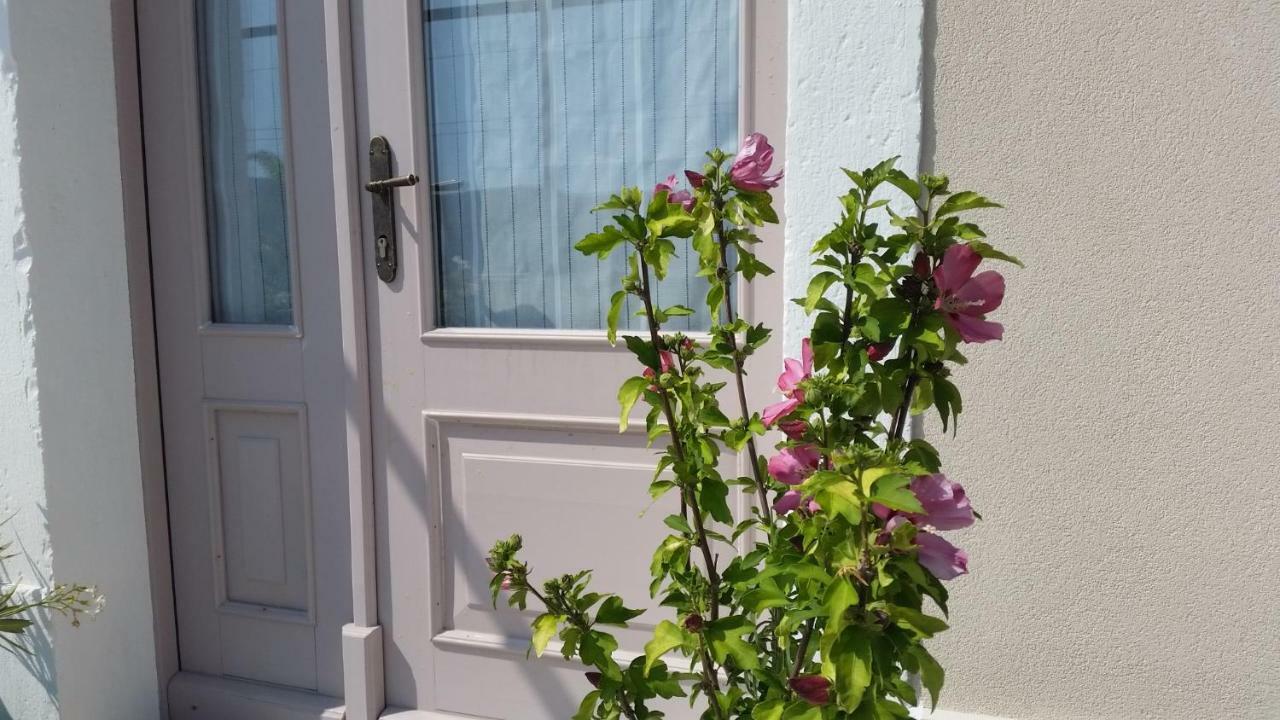 Vila Flora Sečovlje Exterior foto
